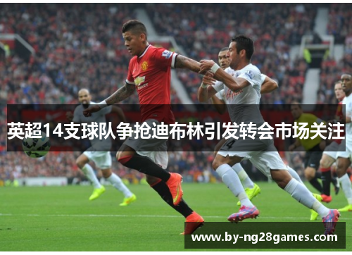 英超14支球队争抢迪布林引发转会市场关注