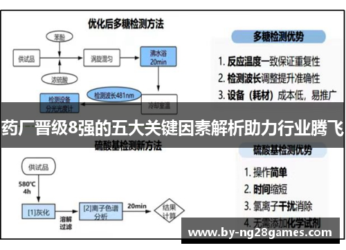 药厂晋级8强的五大关键因素解析助力行业腾飞